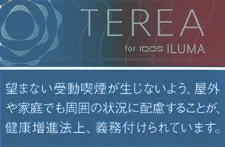 TEREA 树莓 红原味 Ruby Regular