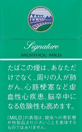 盐仓/GudangGaram Signature 薄荷 15mg